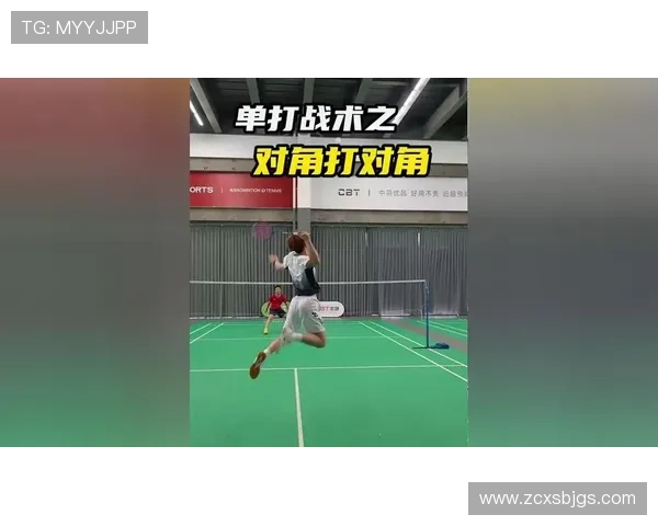 杭州羽毛球队的转换打法解析与战术创新探讨